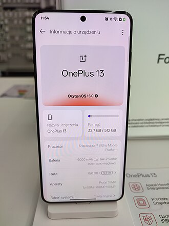 OnePlus 13